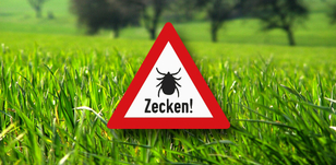 zecken_tiere_578x283.jpg